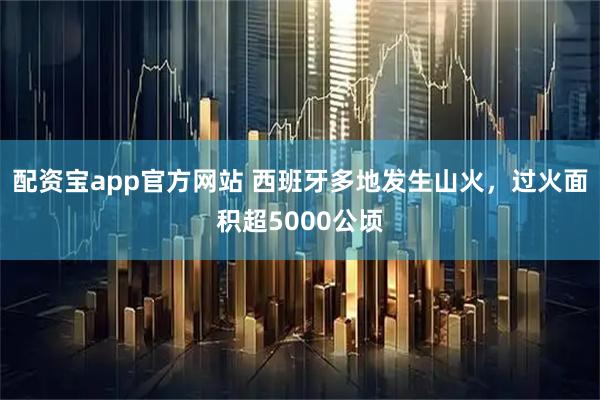 配资宝app官方网站 西班牙多地发生山火，过火面积超5000公顷
